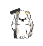 シーズー犬 2025 「スケジュールなどに」（個別スタンプ：9）