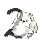 シーズー犬 2025 「スケジュールなどに」（個別スタンプ：10）