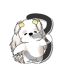 シーズー犬 2025 「スケジュールなどに」（個別スタンプ：11）