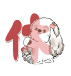 シーズー犬 2025 「スケジュールなどに」（個別スタンプ：12）