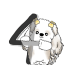 シーズー犬 2025 「スケジュールなどに」（個別スタンプ：13）