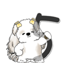 シーズー犬 2025 「スケジュールなどに」（個別スタンプ：14）