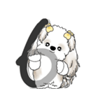 シーズー犬 2025 「スケジュールなどに」（個別スタンプ：15）