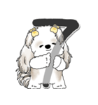 シーズー犬 2025 「スケジュールなどに」（個別スタンプ：16）