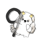 シーズー犬 2025 「スケジュールなどに」（個別スタンプ：18）