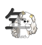 シーズー犬 2025 「スケジュールなどに」（個別スタンプ：22）