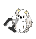 シーズー犬 2025 「スケジュールなどに」（個別スタンプ：23）