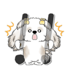 シーズー犬 2025 「スケジュールなどに」（個別スタンプ：26）