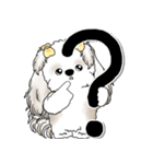 シーズー犬 2025 「スケジュールなどに」（個別スタンプ：27）