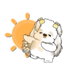 シーズー犬 2025 「スケジュールなどに」（個別スタンプ：29）