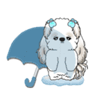 シーズー犬 2025 「スケジュールなどに」（個別スタンプ：30）