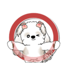 シーズー犬 2025 「スケジュールなどに」（個別スタンプ：37）