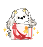 シーズー犬 2025 「スケジュールなどに」（個別スタンプ：40）