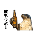 もちもちゴマフアザラシのアクション集（個別スタンプ：30）