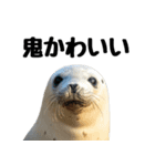 もちもちゴマフアザラシのアクション集（個別スタンプ：32）