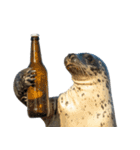 もちもちゴマフアザラシのアクション集（個別スタンプ：40）