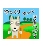 ブルテリア錦四郎02（個別スタンプ：19）