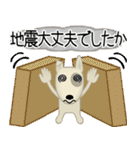 ブルテリア錦四郎02（個別スタンプ：40）