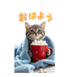 毎年使える♪リアルなにゃんこの年末年始（個別スタンプ：1）