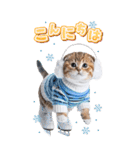 毎年使える♪リアルなにゃんこの年末年始（個別スタンプ：2）