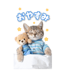 毎年使える♪リアルなにゃんこの年末年始（個別スタンプ：3）