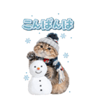 毎年使える♪リアルなにゃんこの年末年始（個別スタンプ：4）