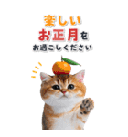 毎年使える♪リアルなにゃんこの年末年始（個別スタンプ：7）