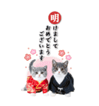 毎年使える♪リアルなにゃんこの年末年始（個別スタンプ：9）