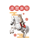 毎年使える♪リアルなにゃんこの年末年始（個別スタンプ：12）