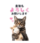 毎年使える♪リアルなにゃんこの年末年始（個別スタンプ：15）