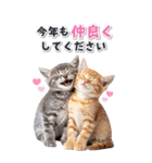 毎年使える♪リアルなにゃんこの年末年始（個別スタンプ：18）