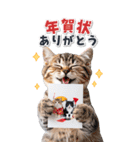 毎年使える♪リアルなにゃんこの年末年始（個別スタンプ：20）