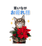 毎年使える♪リアルなにゃんこの年末年始（個別スタンプ：24）
