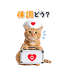 毎年使える♪リアルなにゃんこの年末年始（個別スタンプ：27）