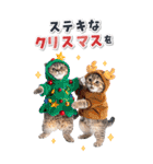 毎年使える♪リアルなにゃんこの年末年始（個別スタンプ：30）