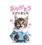毎年使える♪リアルなにゃんこの年末年始（個別スタンプ：31）