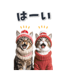 毎年使える♪リアルなにゃんこの年末年始（個別スタンプ：35）