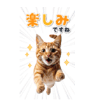 毎年使える♪リアルなにゃんこの年末年始（個別スタンプ：40）