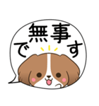 でか文字♦災害安否用♦コイケルのスタンプ（個別スタンプ：2）