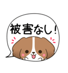 でか文字♦災害安否用♦コイケルのスタンプ（個別スタンプ：3）