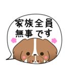 でか文字♦災害安否用♦コイケルのスタンプ（個別スタンプ：4）