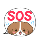 でか文字♦災害安否用♦コイケルのスタンプ（個別スタンプ：6）