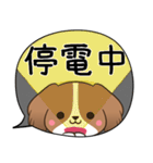 でか文字♦災害安否用♦コイケルのスタンプ（個別スタンプ：7）