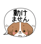 でか文字♦災害安否用♦コイケルのスタンプ（個別スタンプ：9）