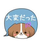 でか文字♦災害安否用♦コイケルのスタンプ（個別スタンプ：11）