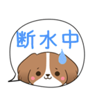 でか文字♦災害安否用♦コイケルのスタンプ（個別スタンプ：13）