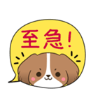 でか文字♦災害安否用♦コイケルのスタンプ（個別スタンプ：14）