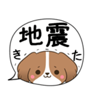 でか文字♦災害安否用♦コイケルのスタンプ（個別スタンプ：16）