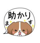 でか文字♦災害安否用♦コイケルのスタンプ（個別スタンプ：17）