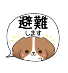 でか文字♦災害安否用♦コイケルのスタンプ（個別スタンプ：19）